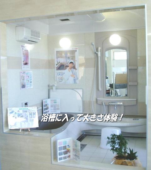 �V�X�e���o�X