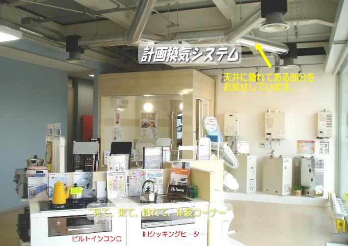 �X�����i