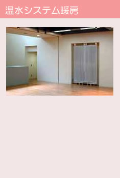 �����V�X�e���g�[